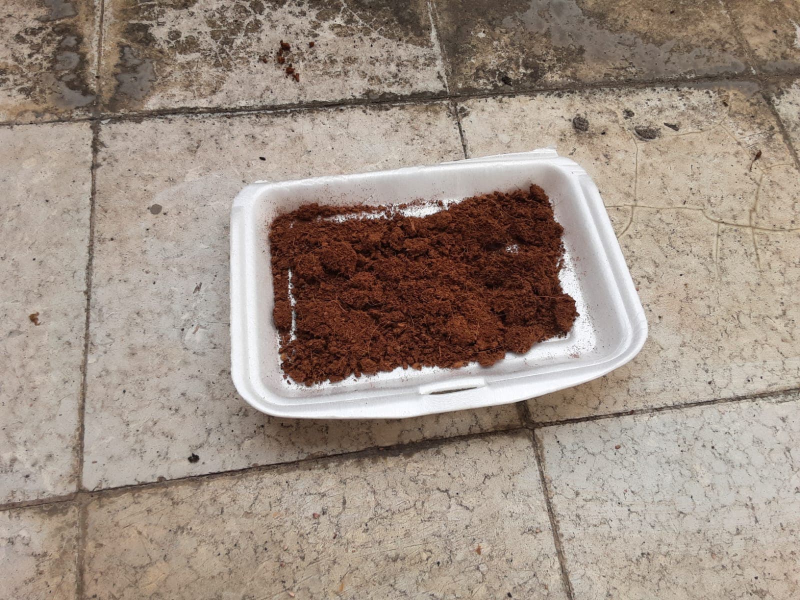 Bersihkan, Jemur, dan Gunakan Kembali - foto 1