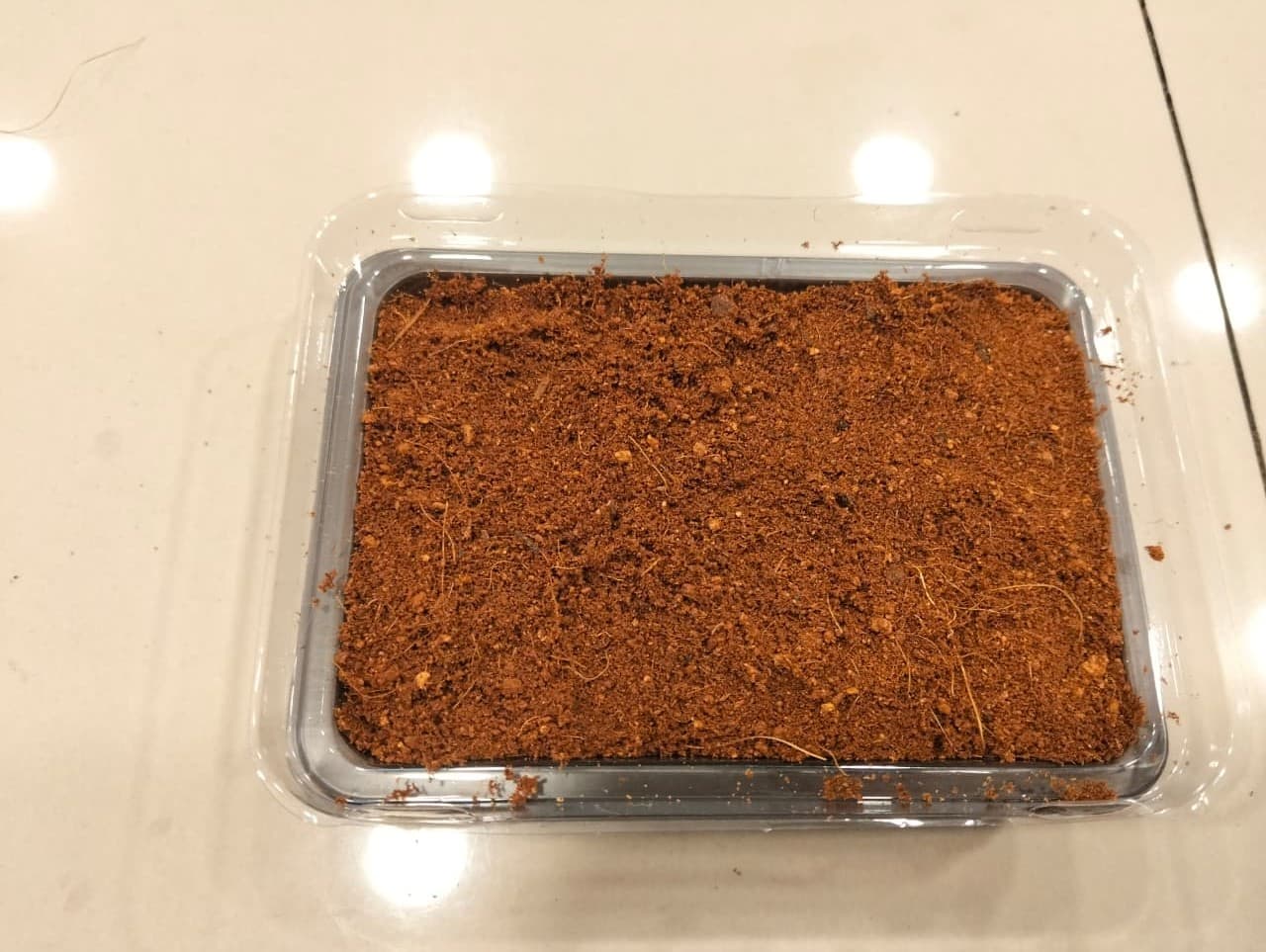 Siapkan Media Tanam - foto 2