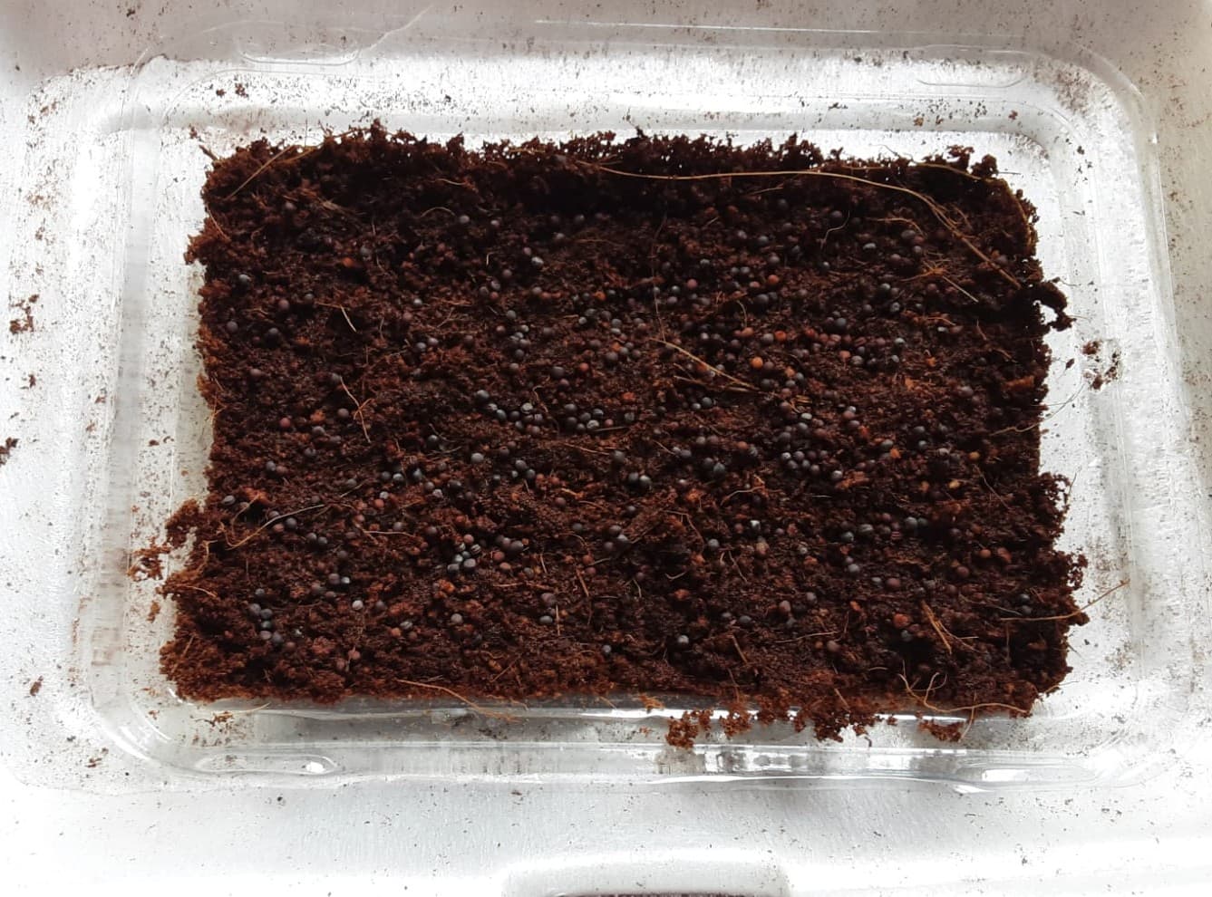 Taburkan Benih - foto 1