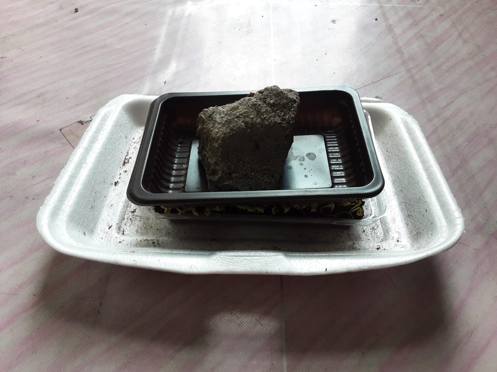 Susun Wadah - foto 1