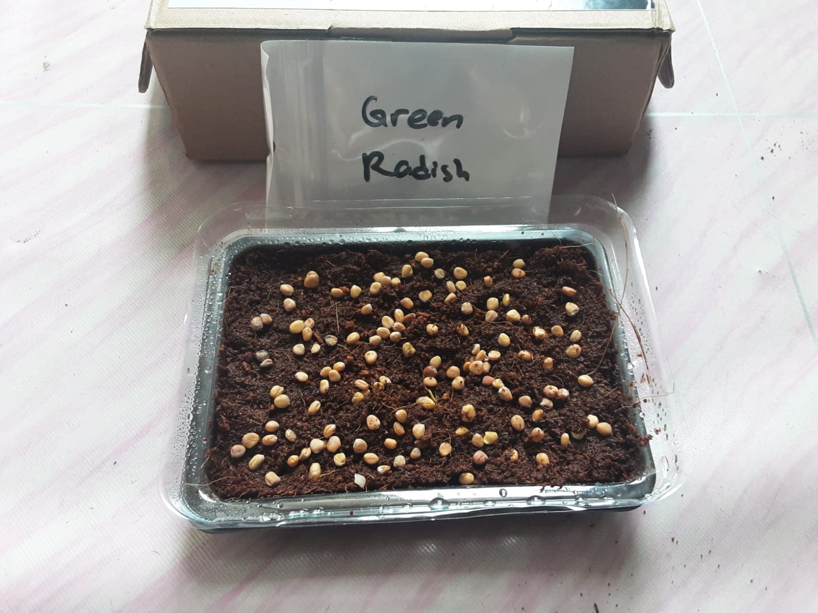 Taburkan Benih - foto 2